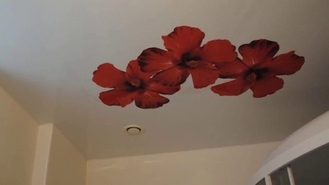 Натяжные потолки с фотопечатью цветы мак